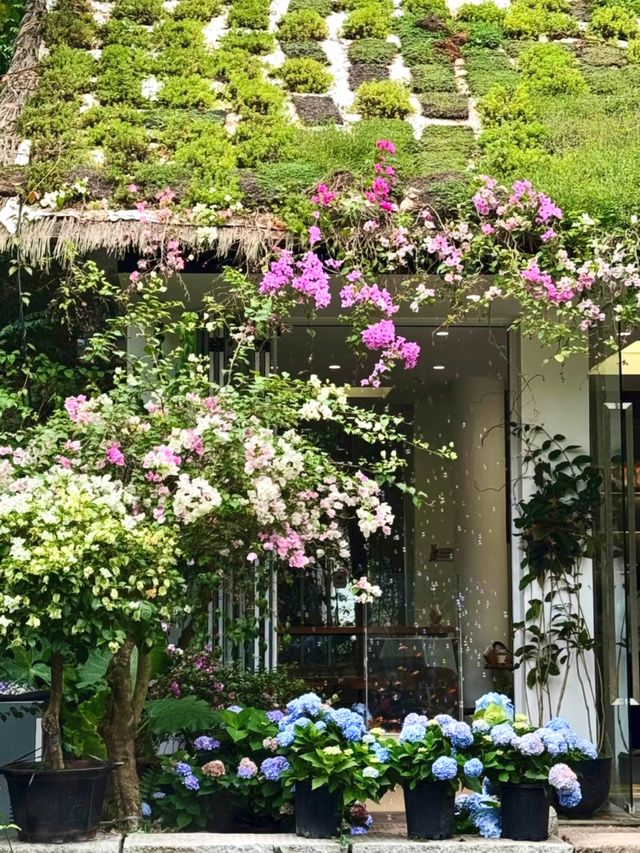 城市中心的氧吧🫧 城市中心的氧吧🫧