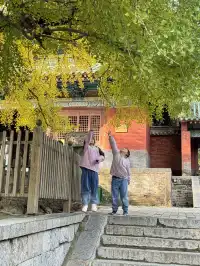 洛陽|週末泡溫泉逛少林寺親子兩日遊
