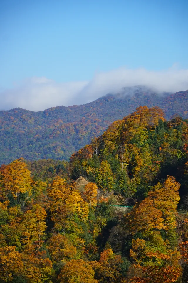 赴光霧山,收藏秋季限定浪漫 赴光霧山,收藏秋季限定浪漫