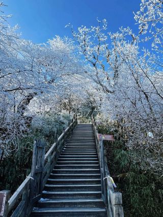 梵淨山冬雪仙境｜2-3天絕美雪景攻略分享