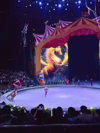 南昌周邊遊|遛娃天花板唯美動物世界