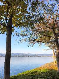 千島湖不登島不進景區直接酒店躺平…