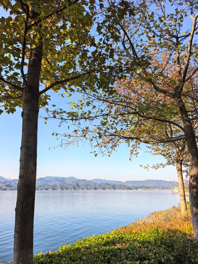 千島湖不登島不進景區直接酒店躺平…