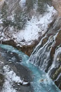 北海道｜美瑛旭川不包車不跟團一日遊
