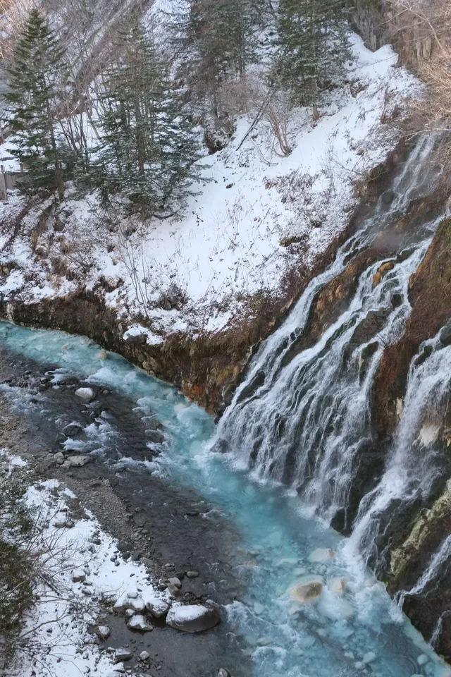 北海道｜美瑛旭川不包車不跟團一日遊