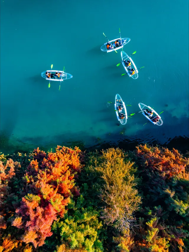 在常州!虎丘同款網紅玻璃船,絕美! 在常州!虎丘同款網紅玻璃船,絕美!