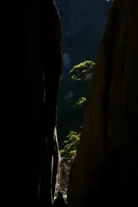 黃山(二) | 松與石