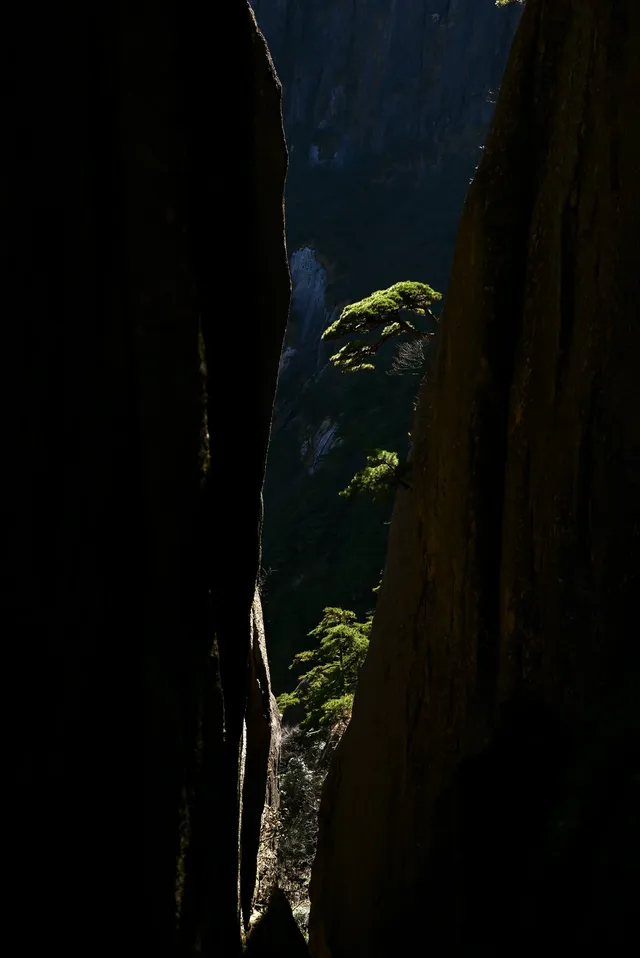黃山(二) | 松與石 黃山(二) | 松與石