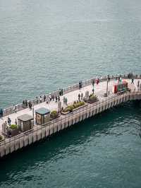 K11免費觀景台攻略｜解鎖維港黃金機位的秘密基地