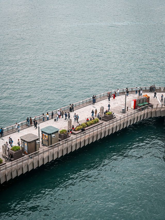 K11免費觀景台攻略｜解鎖維港黃金機位的秘密基地