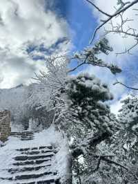 海螺溝3日奇幻之旅:赴一場日照金山的仙境之約