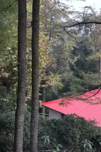 揚州自駕莫干山一日半｜避坑+驚喜全攻略