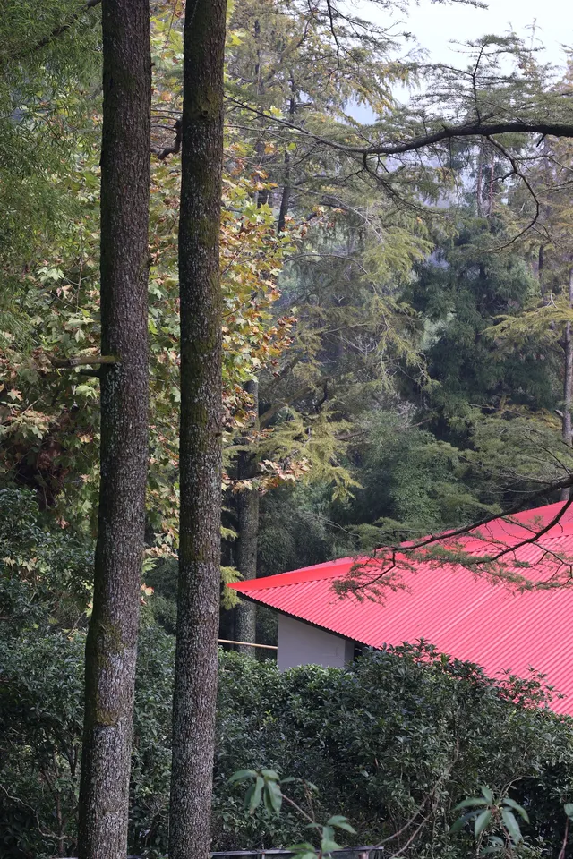 揚州自駕莫干山一日半｜避坑+驚喜全攻略