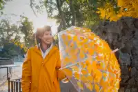 虞山方塔園|八百年銀杏|最佳觀賞期