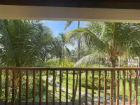 飛躍印度洋的第一站毛里求斯希爾頓