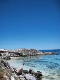 Perth|Rottnest island 🩵