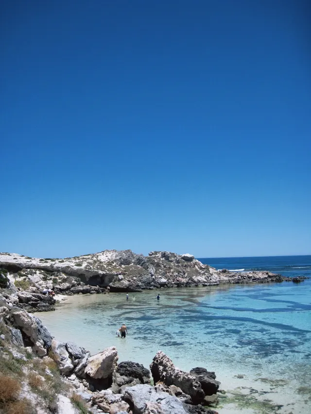 Perth|Rottnest island 🩵 Perth|Rottnest island 🩵