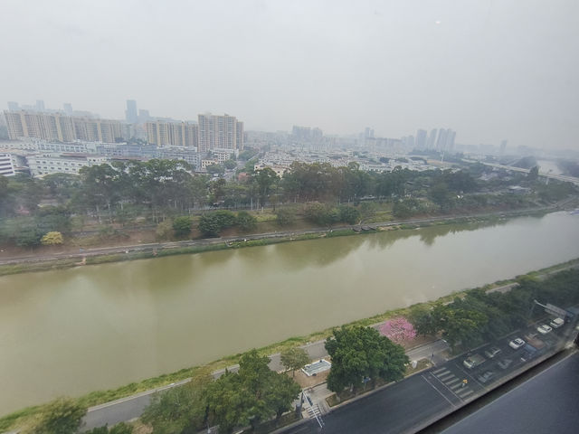 《深圳光影之旅:蔚徕酒店裡的都市詩意》 《深圳光影之旅:蔚徕酒店裡的都市詩意》