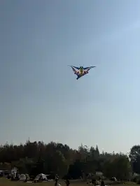 這風景好美,真的好想讓所有人🫘看到