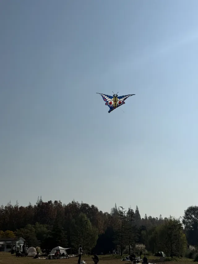 這風景好美,真的好想讓所有人🫘看到 這風景好美,真的好想讓所有人🫘看到