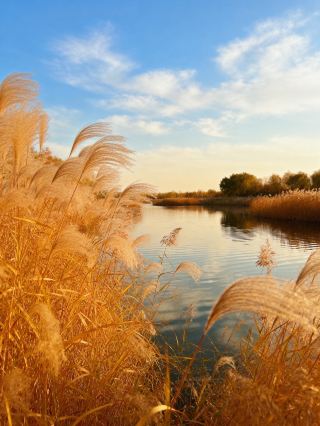 Nanle Healing Journey, Stay at Song-style Elegant Residence