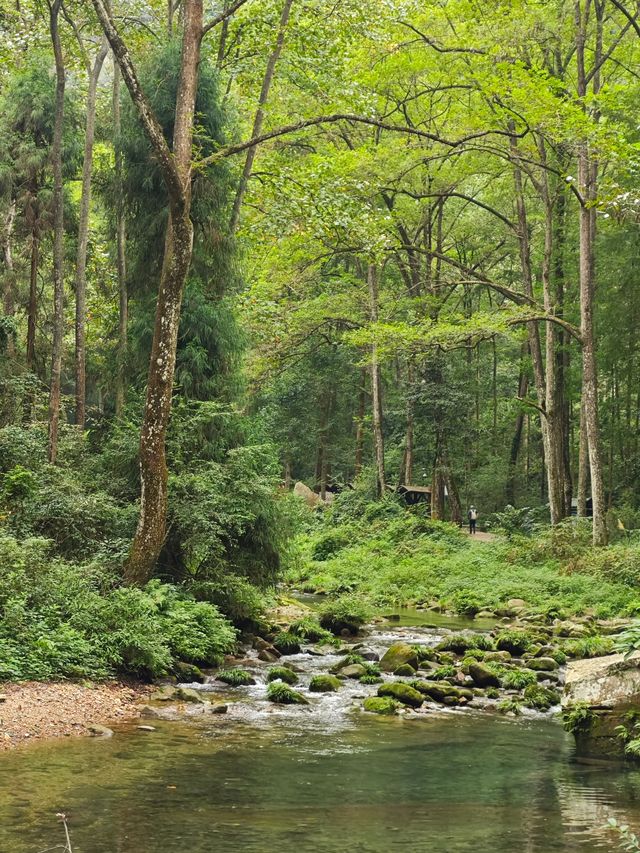 現實版的綠野仙蹤-張家界國家森林公園
