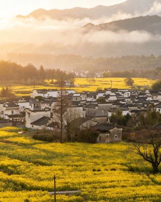 เพดานของที่พักแบบ B&B Huangshan Tangkou | ภาพถ่ายสนุกๆ ของที่พักแบบ B&B |