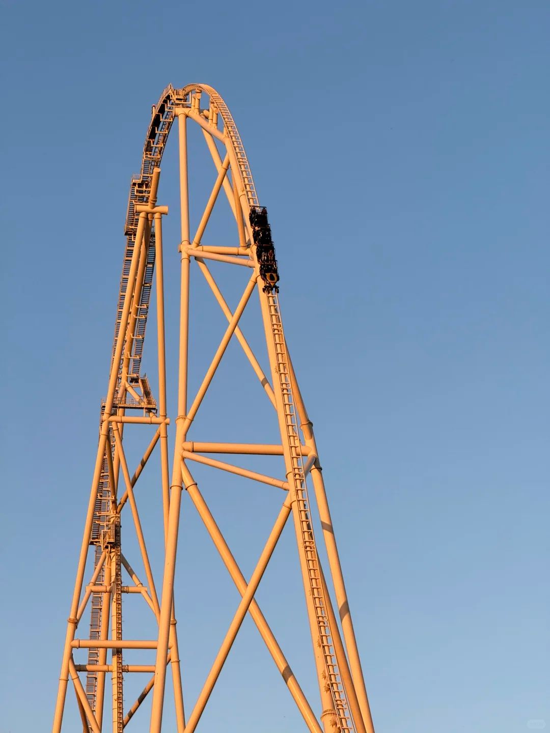 [Награда за инновационный вклад] Тематический парк Six Flags, Чидиа