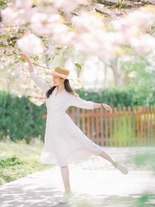 제도 숲속 비경 인증 가이드 한 조각 저녁 벚꽃 바다