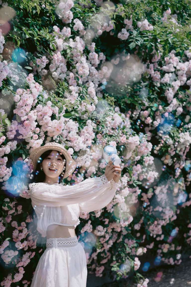 鄭州のバラの花の壁チェックインガイド🌺4.26実写 | Trip