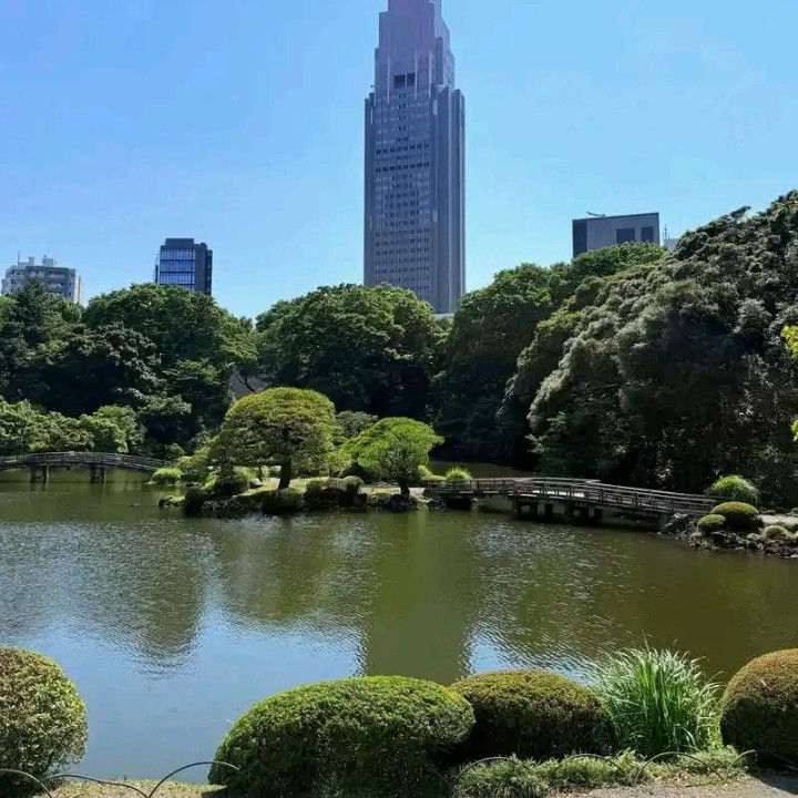 東京・新宿は、昔から「コンクリートジャングル」の代名詞。今回の