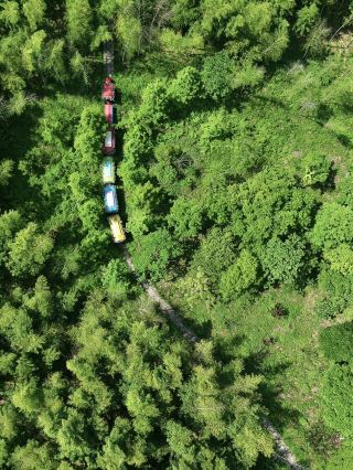 Yixing! It’s really not the Greater Khingan Range! It’s a forest secret realm in Jiangsu, Zhejiang, and Shanghai
