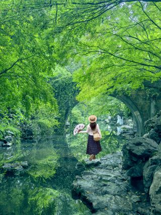杭州はまさに木を愛する街の打卡スポットにふさわしい！