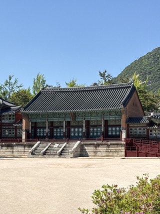 7일간 한국 완전 정복! 이 가이드 정말 최고예요