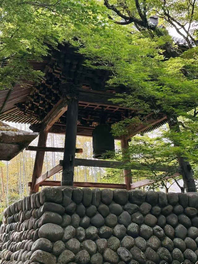 比京都還美!這個隱世小京都美到犯規