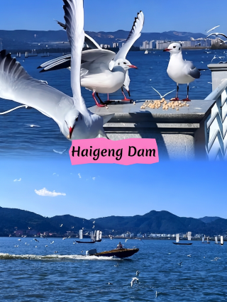 Kunming Haigeng Dam | Free lakeside promenade at Dianchi Lake   Basic info Admission: Free, open all day  Address: Guanjing Road, Xishan District, Kunming