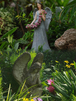 Shanghai Botanical Garden: An underrated romantic sanctuary