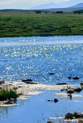 Bayanbulak Grassland is breathtaking—a must-visit hidden gem in your lifetime!