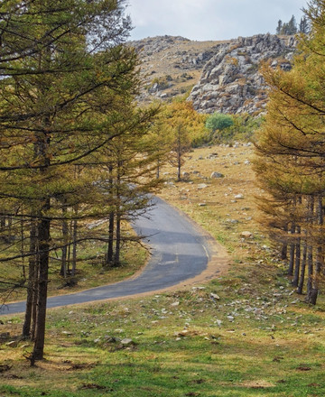 Road trip the Grassland Loop and discover autumn at Kuijia