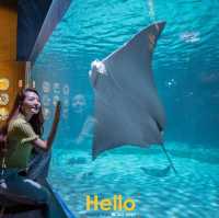 AQUARIA PHUKET 