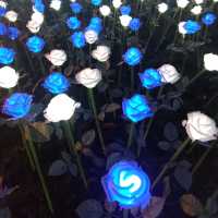 ✨LED夢幻玫瑰花海🌹添馬公園✨