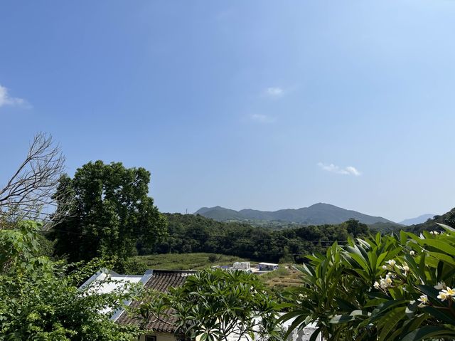 昔日香港的製鹽場