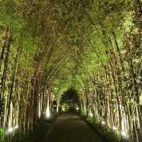 🪷荷花池中的泰日fusion樹屋餐廳🌳 