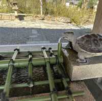 酒作りの神様？ 京都最古の神社？ 京都 松尾大社