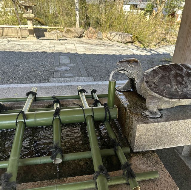 酒作りの神様？ 京都最古の神社？ 京都 松尾大社