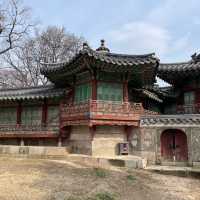 봄에 가면 좋은 창경궁 데이트