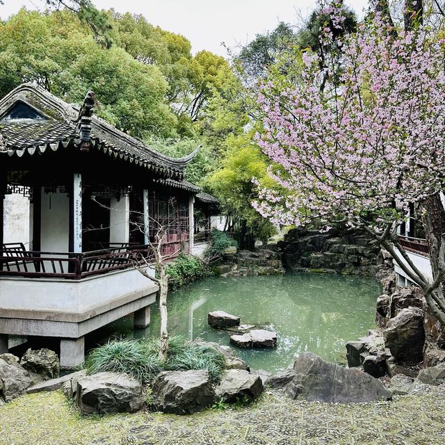 Serene Charm of Tiger Hill in Suzhou, China