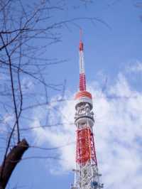 東京秘密賞塔的好地方—增上寺