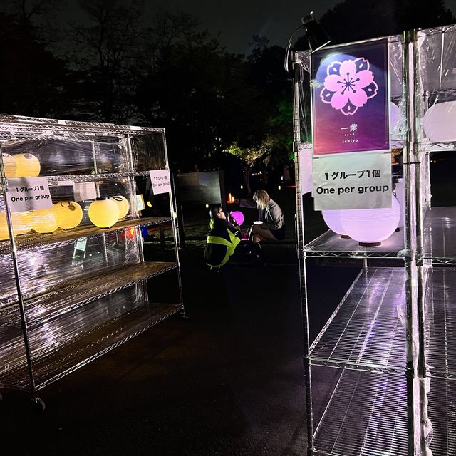 Naked 櫻之新宿御苑2023