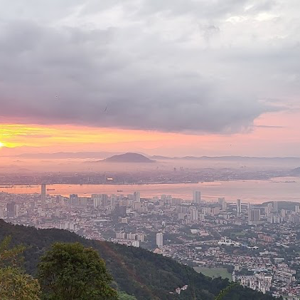 Hickory On Penang Hill